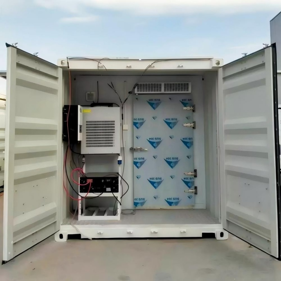 Antibacterial & Anti-Mold Cold Storage Freezer Solar Refrigeration System Room for Active Pharmaceutical Ingredients (APIs)