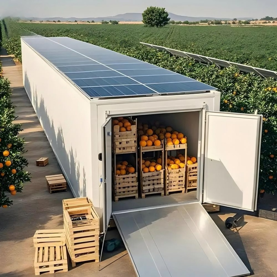 Data Traceability Refrigeration System Cold Storage Solar Freezer Room for Potato and Onion Sprout Inhibition